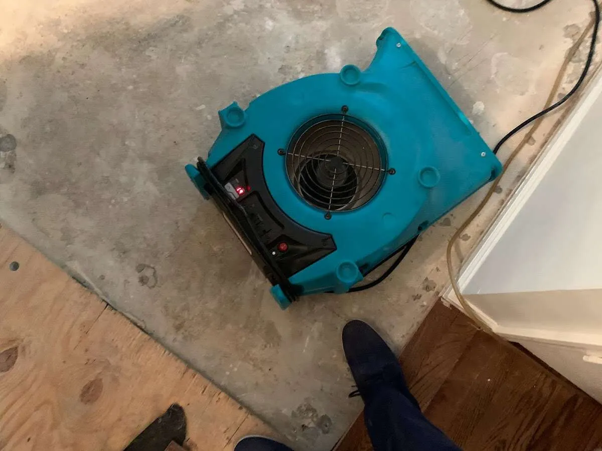 Air mover drying subfloor during Leak Detection & Repair in Argyle